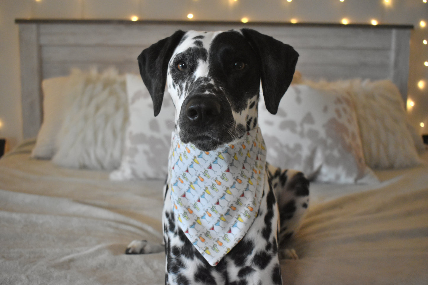 Boozy Babes Slip Over the Collar Bandana