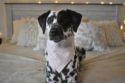 Certified Good Girl Slip Over the Collar Bandana