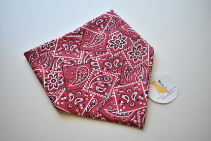 Red Dirt Road Slip Over the Collar Bandana