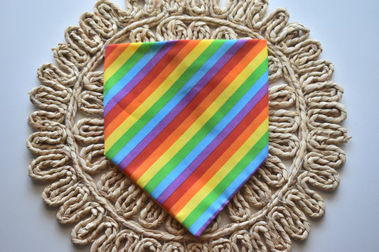 Pride Scrunchie Bandana