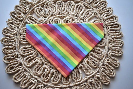 Pride Slip Over the Collar Bandana