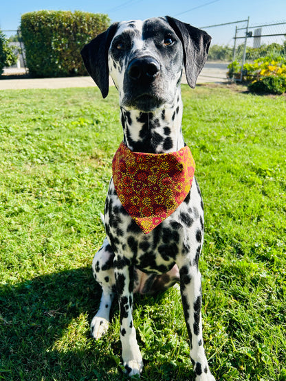 Sweater Weather Slip Over the Collar Bandana