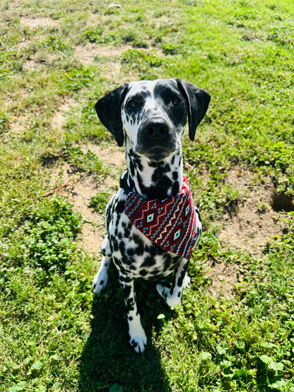 Gone Country Slip Over the Collar Bandana