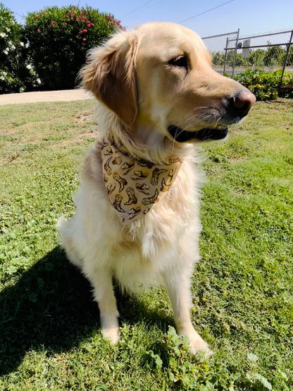Boot Scootin' Slip Over the Collar Bandana