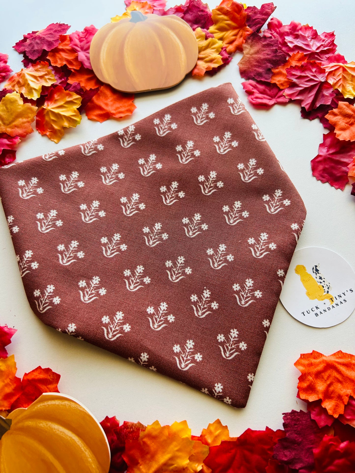 Autumn Girl Slip Over the Collar Bandana