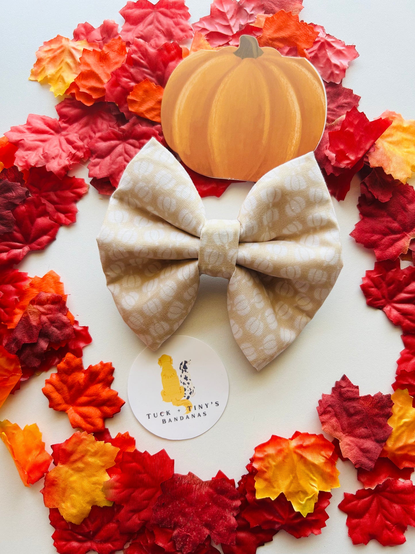 Easy As Pumpkin Pie Slip Over the Collar Bow Tie