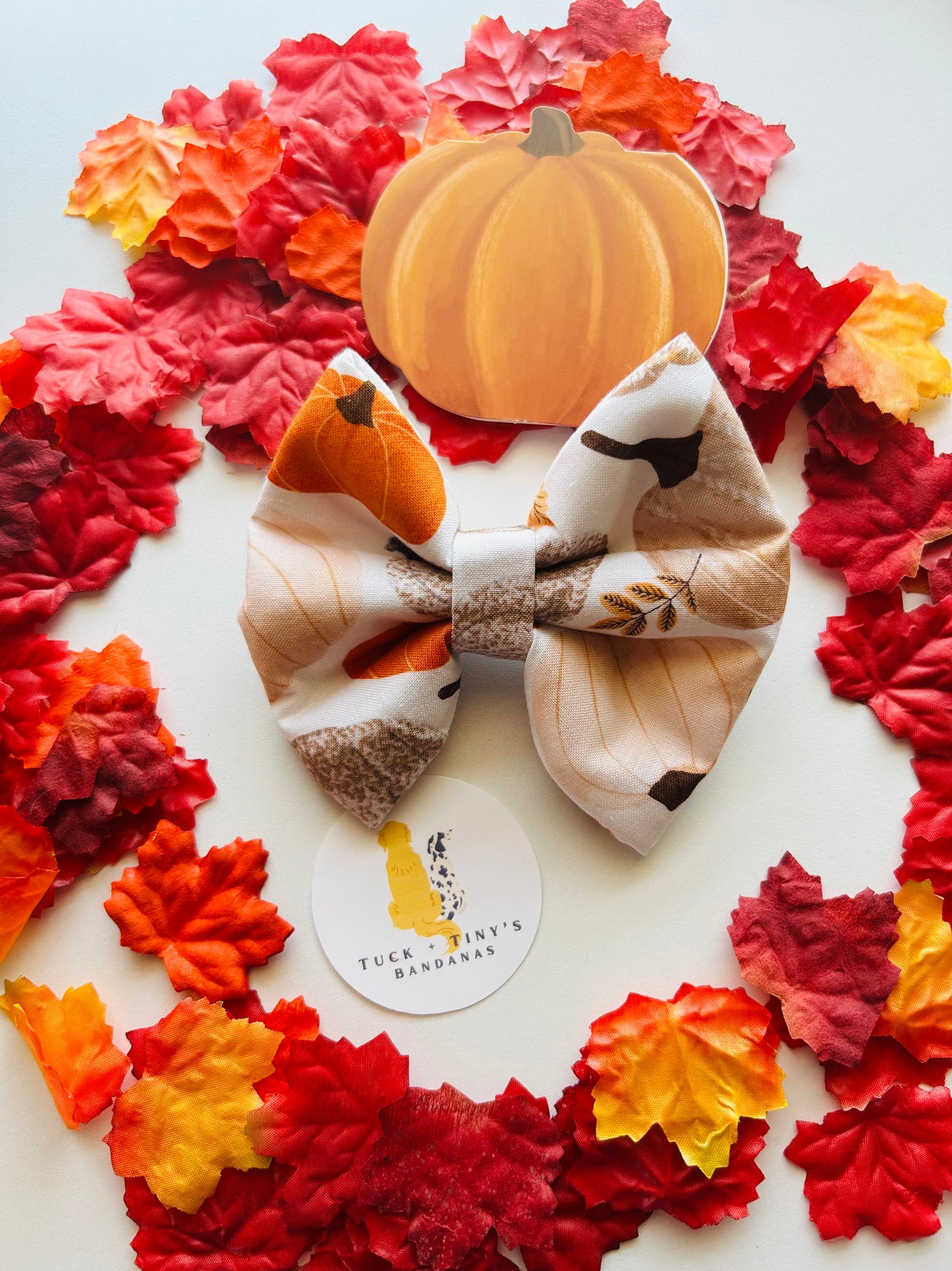 Pumpkin Spice and Everything Nice Slip Over the Collar Bow Tie