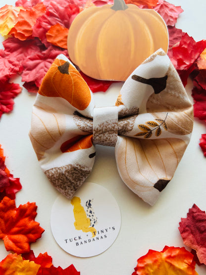 Pumpkin Spice and Everything Nice Slip Over the Collar Bow Tie