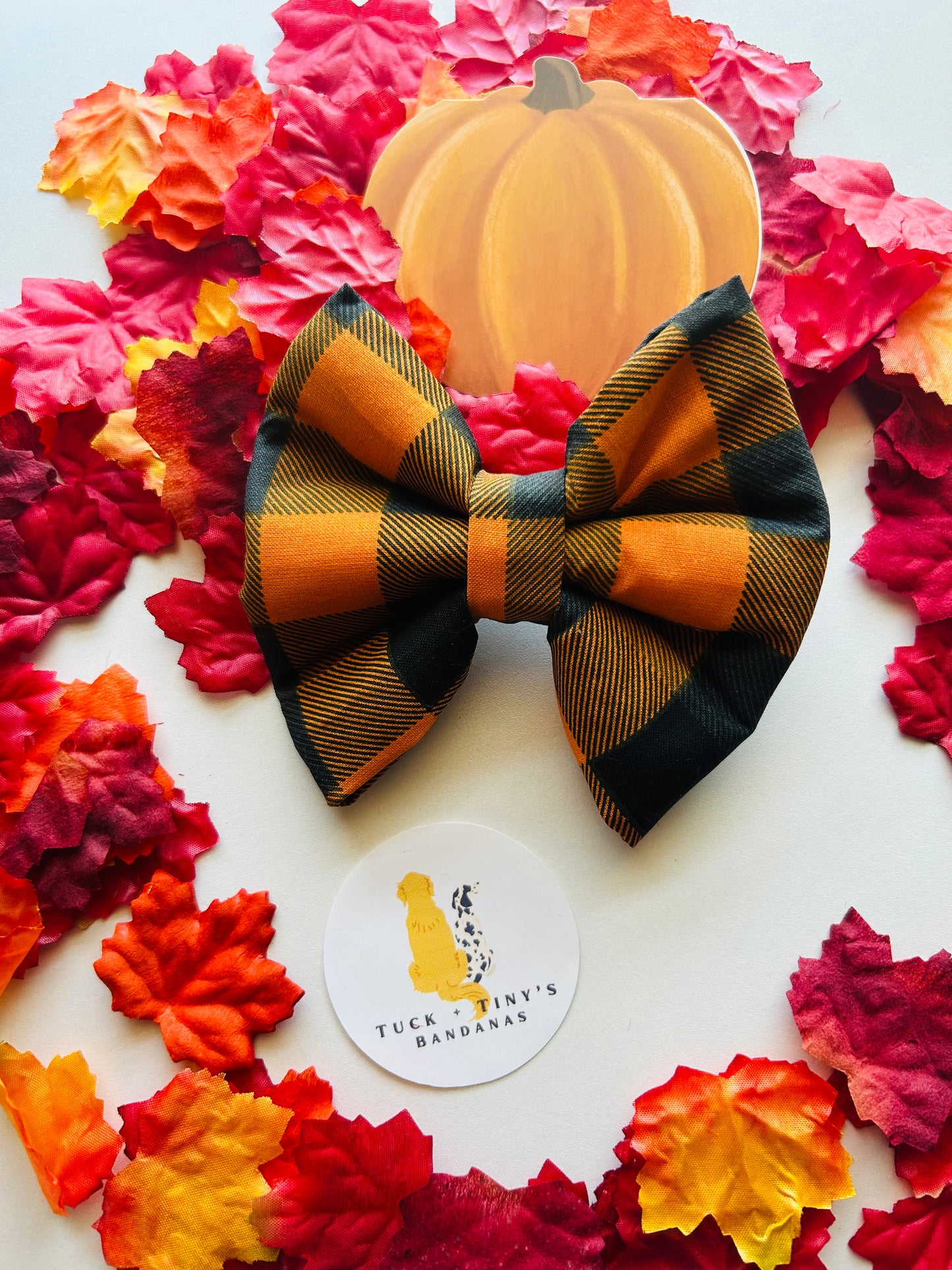 Welcome To the Pumpkin Patch Slip Over the Collar Bow Tie