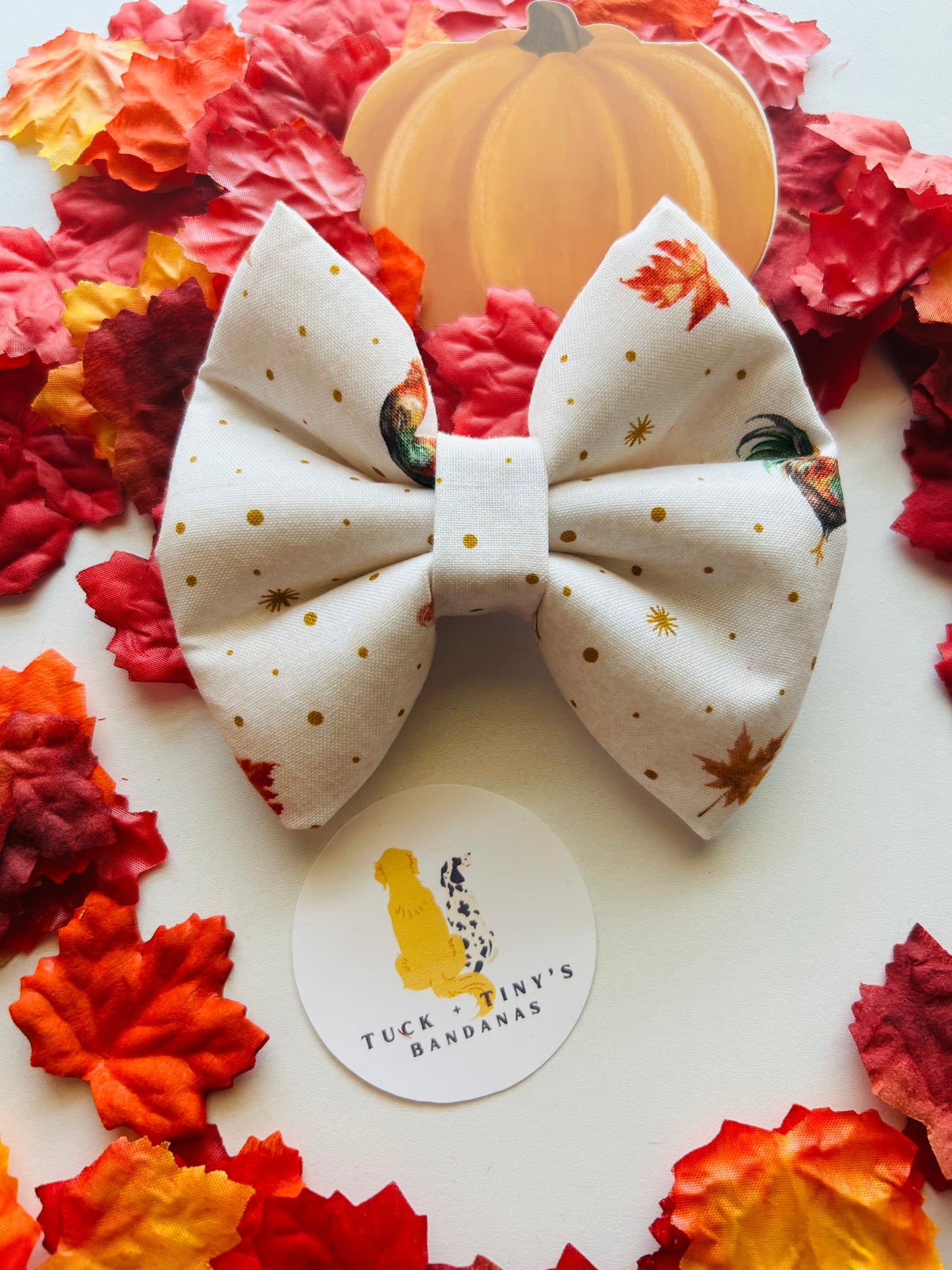 Crunchy Leaves and Cozy Sleeves Slip Over the Collar Bow Tie