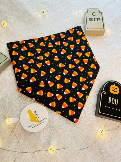 Candy Corn Cutie Slip Over the Collar Bandana