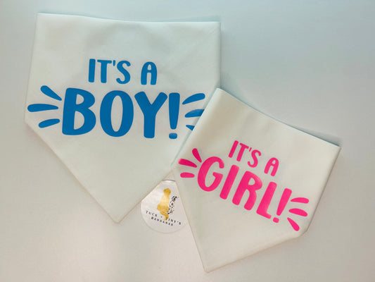 Gender Reveal Reversible Slip Over the Collar Bandana