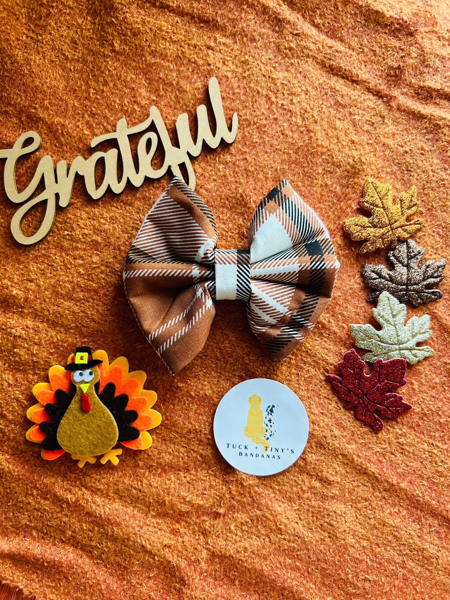 Thankful for Turkey Slip Over the Collar Bow Tie