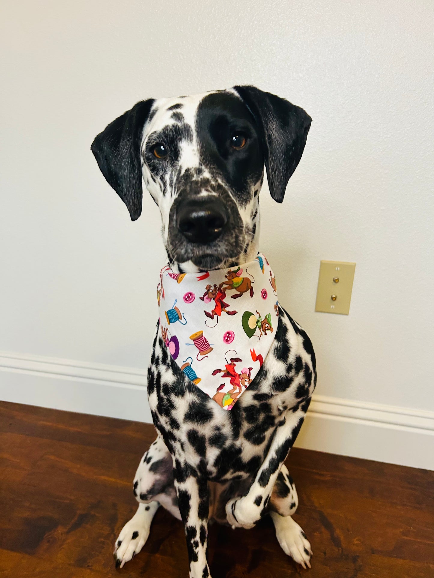 Cinderelley Slip Over the Collar Bandana