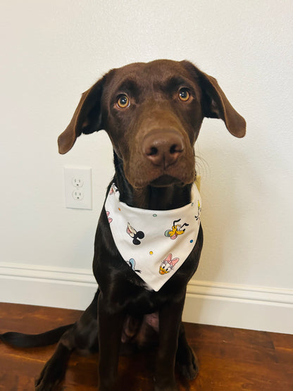 The Originals Slip Over the Collar Bandana