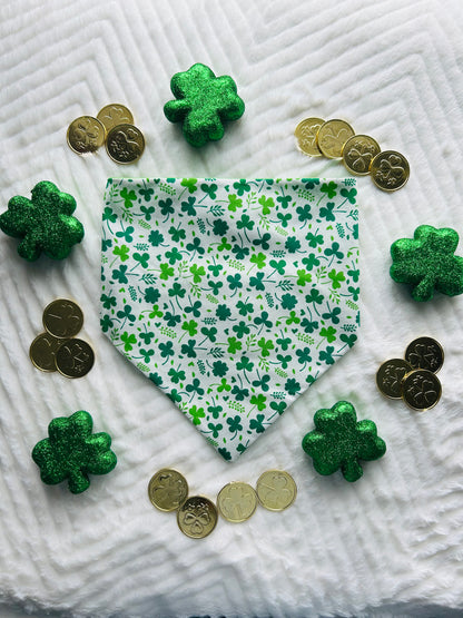 Rub My Belly for Good Luck Reversible Scrunchie Bandana