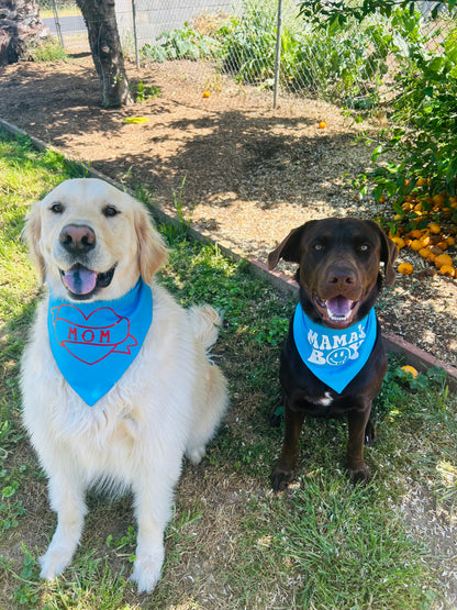Mama's Boy Scrunchie Bandana