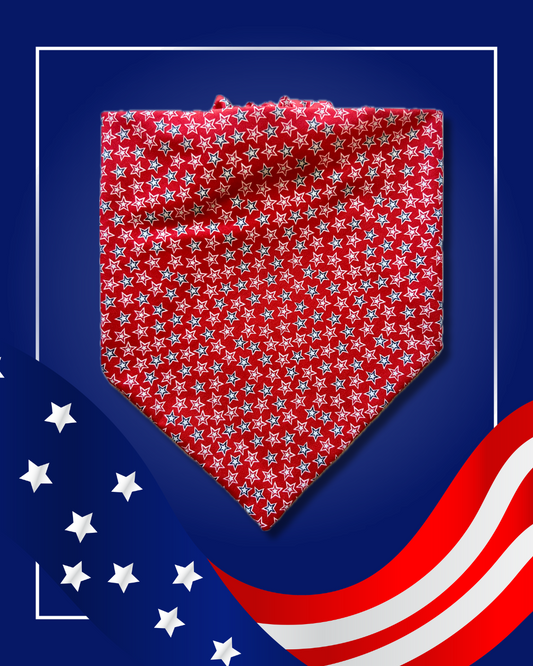 Home of the Brave Scrunchie Bandana