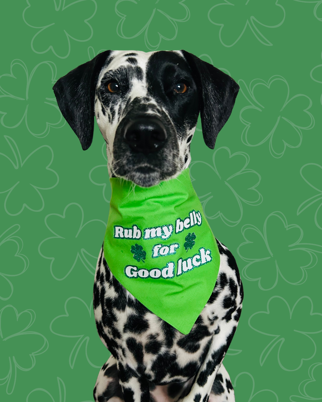 Rub My Belly for Good Luck Reversible Scrunchie Bandana