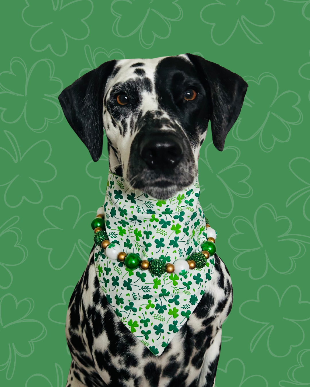 Lick of the Irish Beaded Necklace